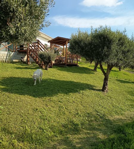 img 20260404 wa0018